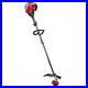 30 Cc 4-Stroke Straight Shaft Gas Trimmer with Attachment Capabilities
