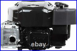 Briggs & Stratton 125P02-0012-F1 8.75 GT Vertical Shaft Engine