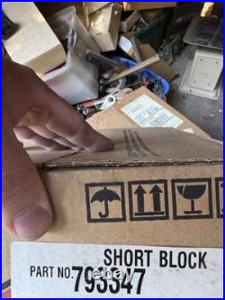 Briggs & Stratton Gas Engine Lawnmower Motor Vertical Shaft Short Block 793347