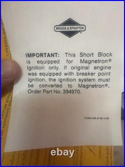 Briggs Stratton Gas Engine Short block Hb-256 HORZ #399022 New Motor taper Shaft