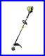 Ryobi 4-Cycle 30cc Straight Shaft Gas Trimmer Expand It Attachment Capable